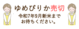 売り切れました