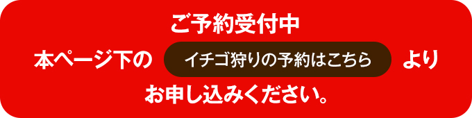 ご予約受付中 本ページ下の《いちご狩の予約はこちら》よりお申込みください。